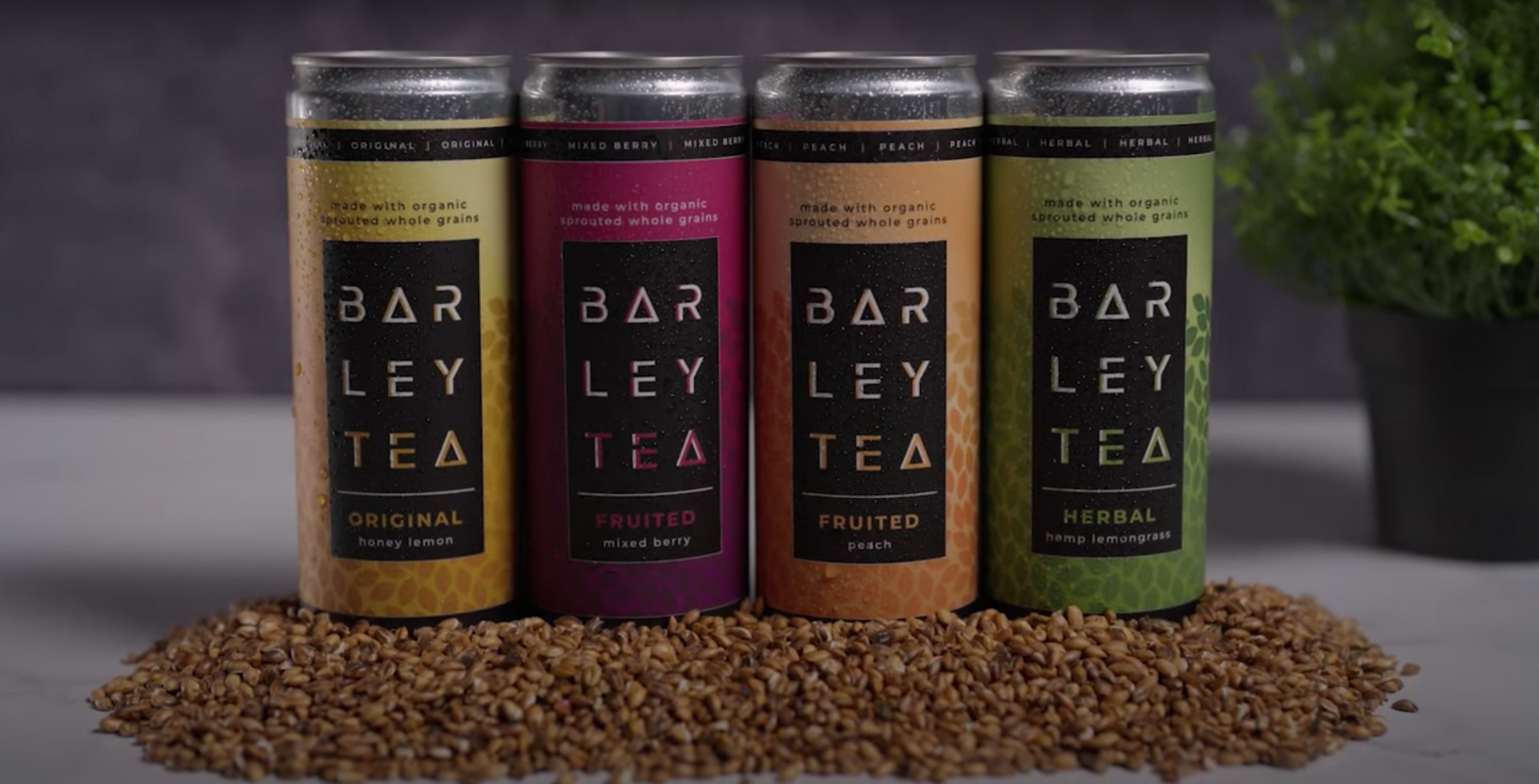 Load video: Canning the Original Barley Tea