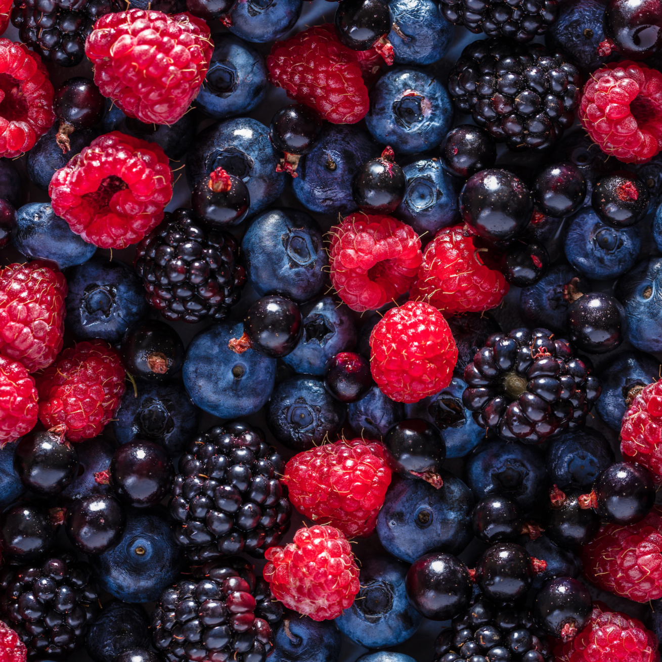 mixed fruit, fresh blueberries raspberries and blackberries